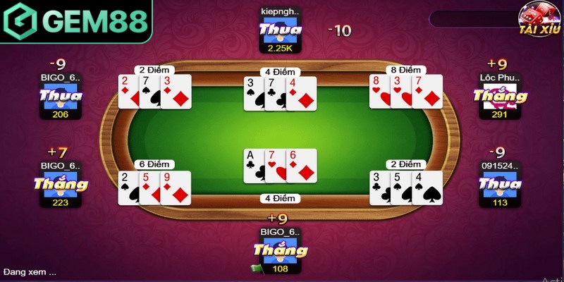 Catte được yêu thích, nổi tiếng là trò đỏ đen huyền thoại