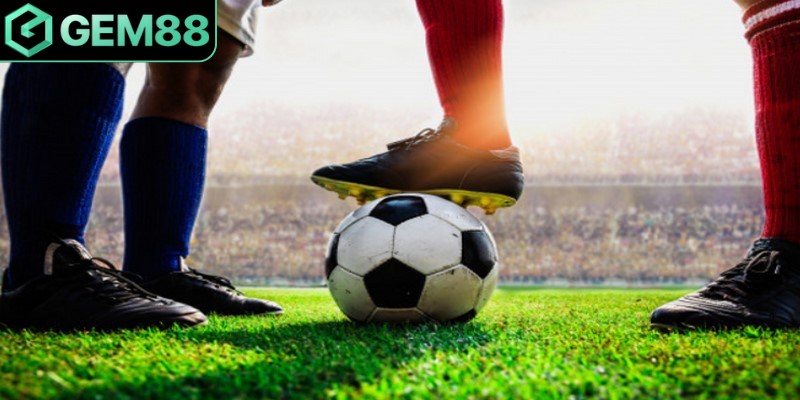 Xem lại kết quả trong các giải tương tự cân nhắc lựa chọn đúng đắn